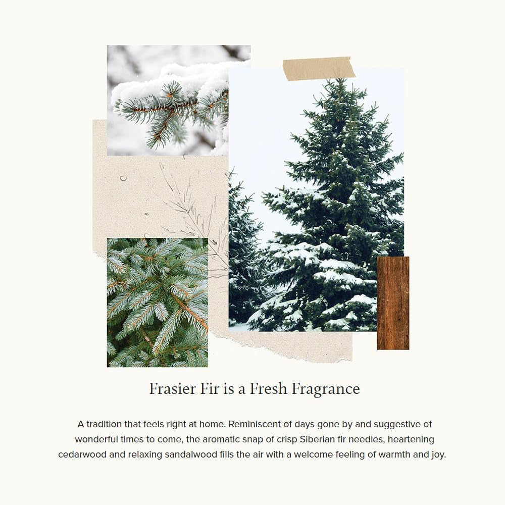 Frasier Fir Fragrant Refresher Oil - Aromatherapy Oil - Long Lasting Scent (1 Fl Oz)